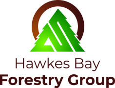 www.hbforestrygroup.co.nz logo